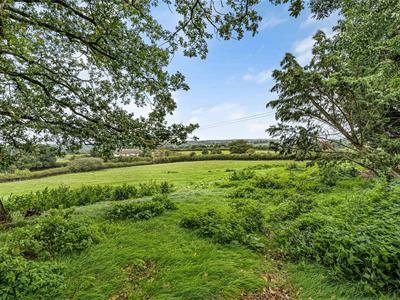 Picture 52